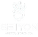 Seiyon Plus
