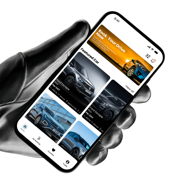 About project illustration